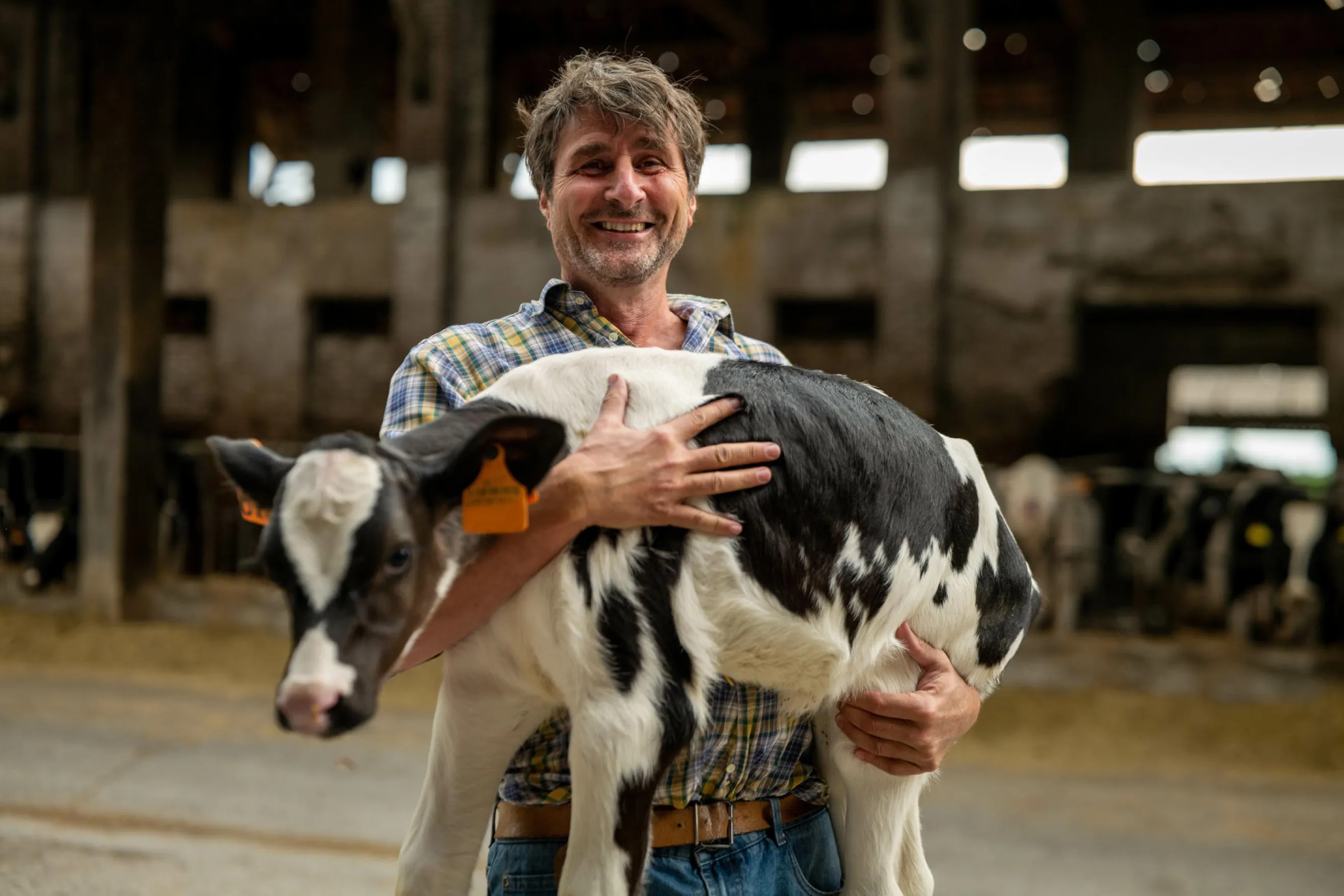 image_26.webp